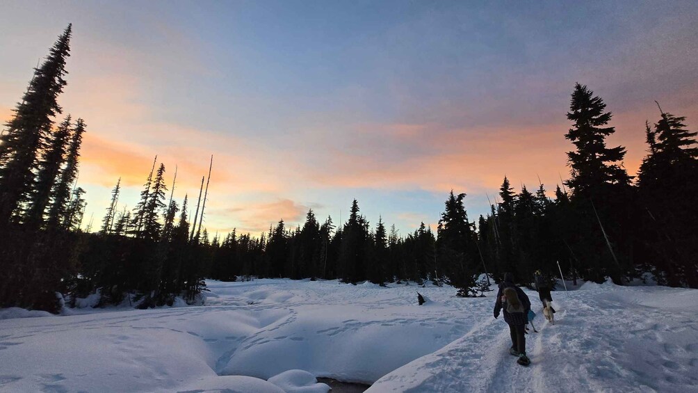 Picture 6 for Activity Vancouver Island Snowshoeing and Sauna Tour