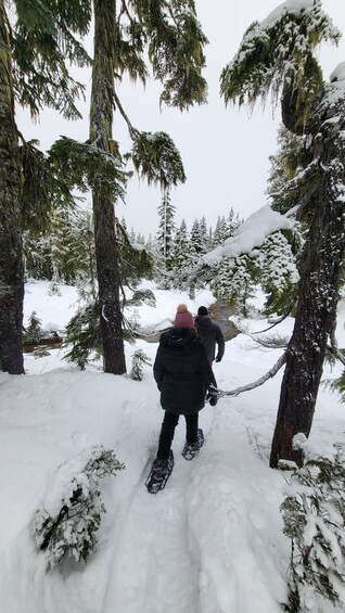 Picture 3 for Activity Vancouver Island Snowshoeing and Sauna Tour