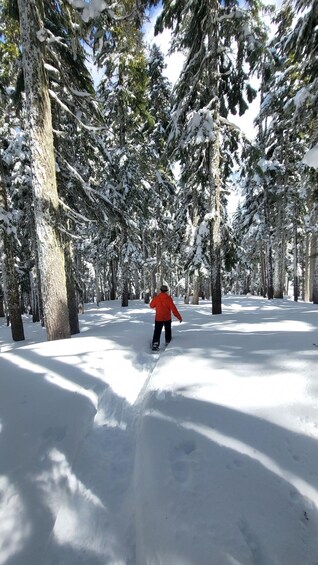 Picture 4 for Activity Vancouver Island Snowshoeing and Sauna Tour