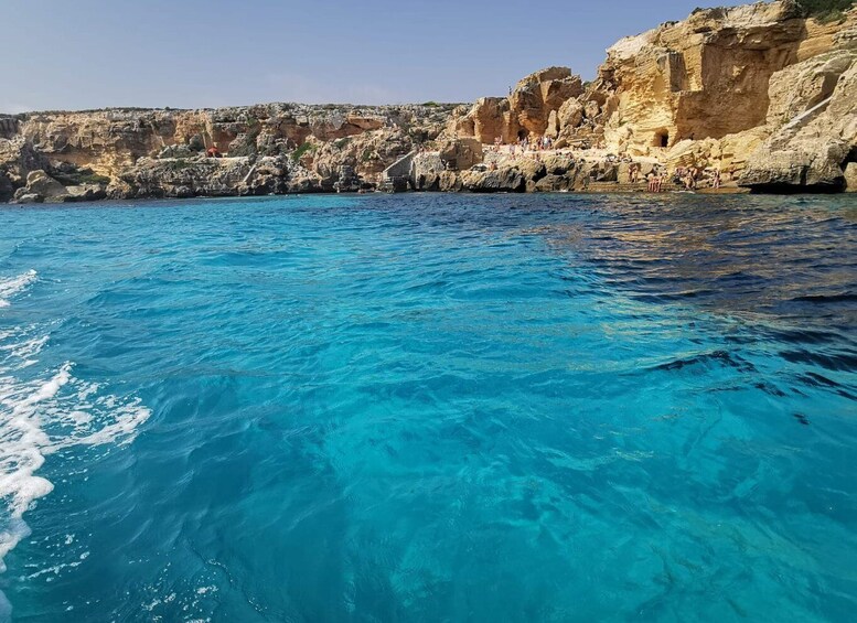 Picture 10 for Activity Favignana and Levanzo: Island tour by rib boat from Trapani