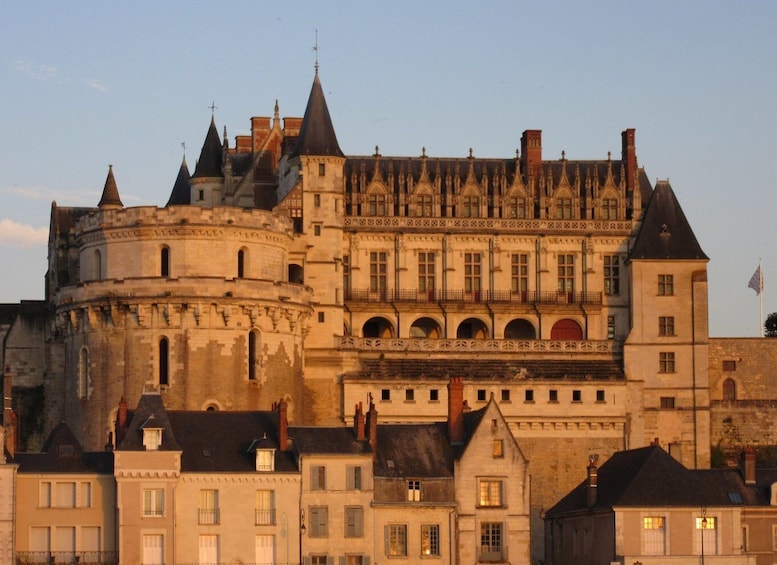 Picture 1 for Activity Royal Château of Amboise Private Tour with Entry Tickets