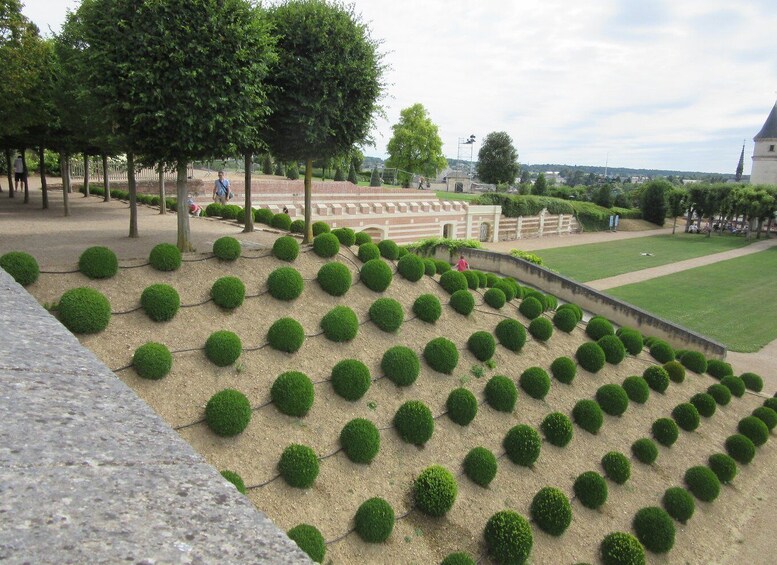 Picture 4 for Activity Royal Château of Amboise Private Tour with Entry Tickets