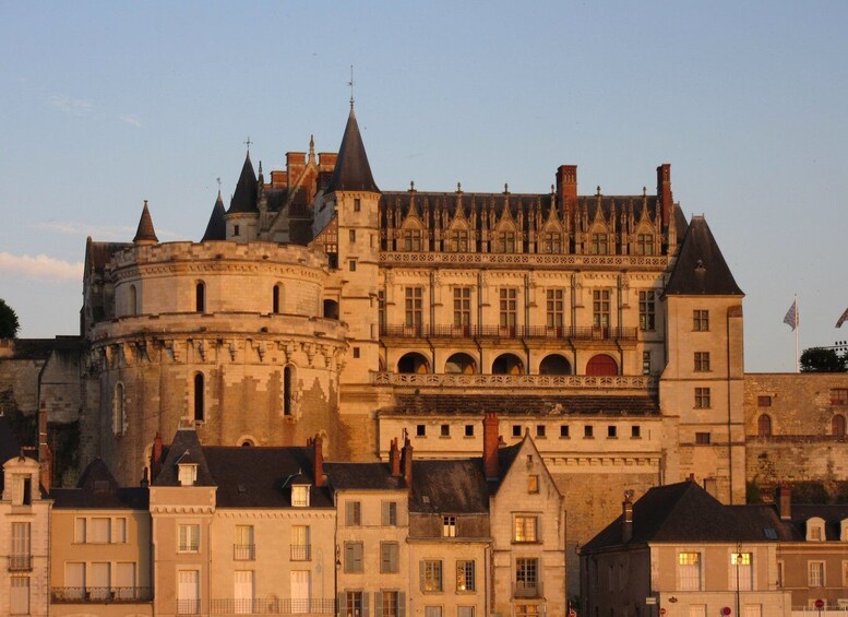 Picture 1 for Activity Royal Château of Amboise Private Tour with Entry Tickets