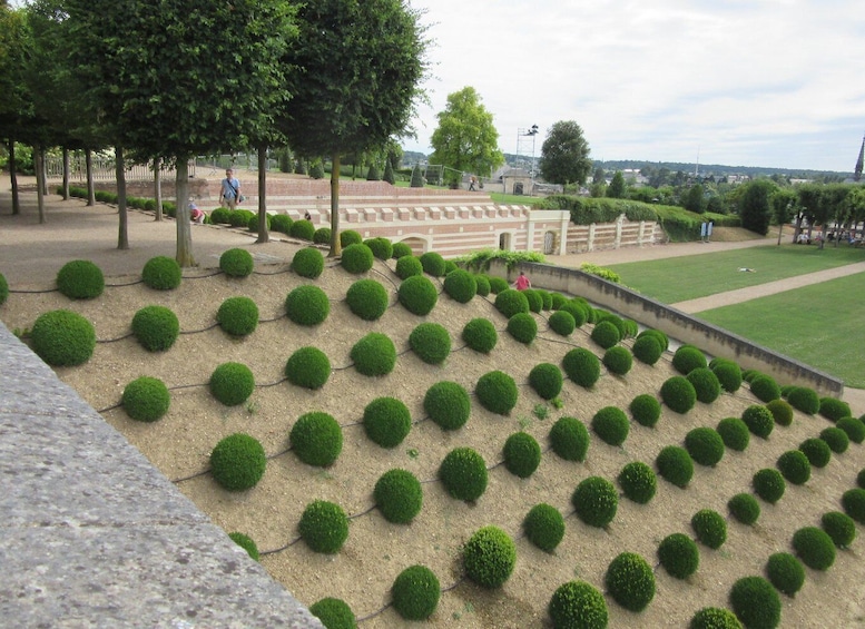Picture 4 for Activity Royal Château of Amboise Private Tour with Entry Tickets