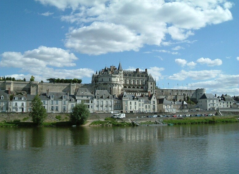 Royal Château of Amboise Private Tour with Entry Tickets