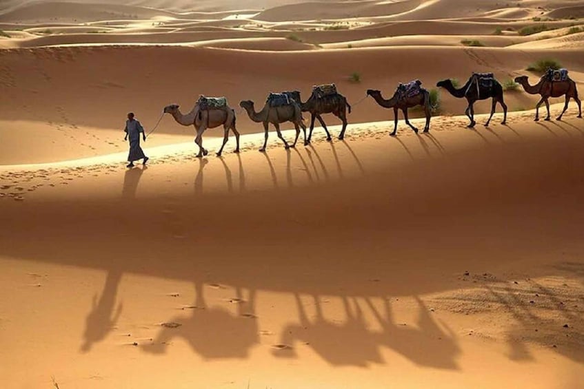 Picture 2 for Activity From Fes to Marrakech: 3-Day Sahara Desert Luxury Tour