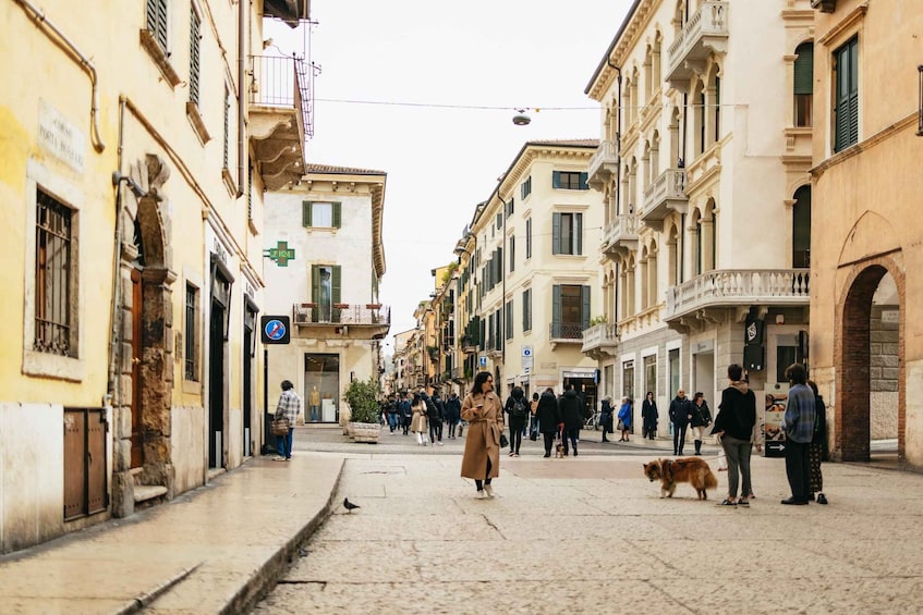 Picture 12 for Activity Verona: History and Hidden Gems Guided Walking Tour