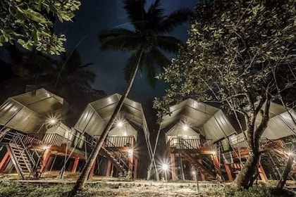 Sinharaja Forest Reserve Glamping with BBQ Night