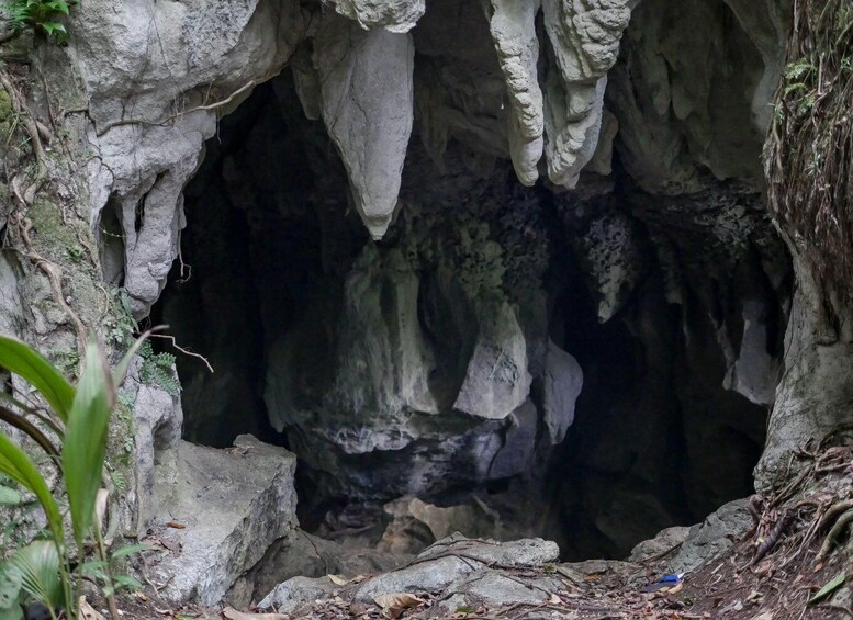 Picture 3 for Activity Siargao Tour C (shared tour)