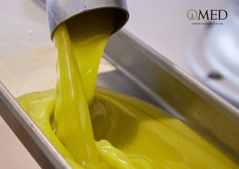 Picture 7 for Activity Granada in EVOO: Authentic guided tour, tasting and tapas