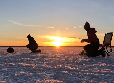 Rovaniemi: Eisfischen Kleingruppentour & Barbecue