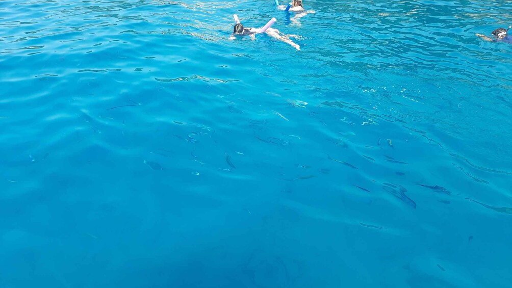 Picture 11 for Activity Private tour on a sailboat - Swim and paddle - Antibes Cape