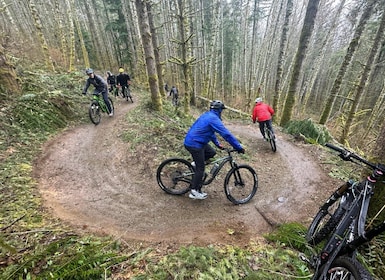 From Seattle: Full Day All-Inclusive Mountain Bike Tour