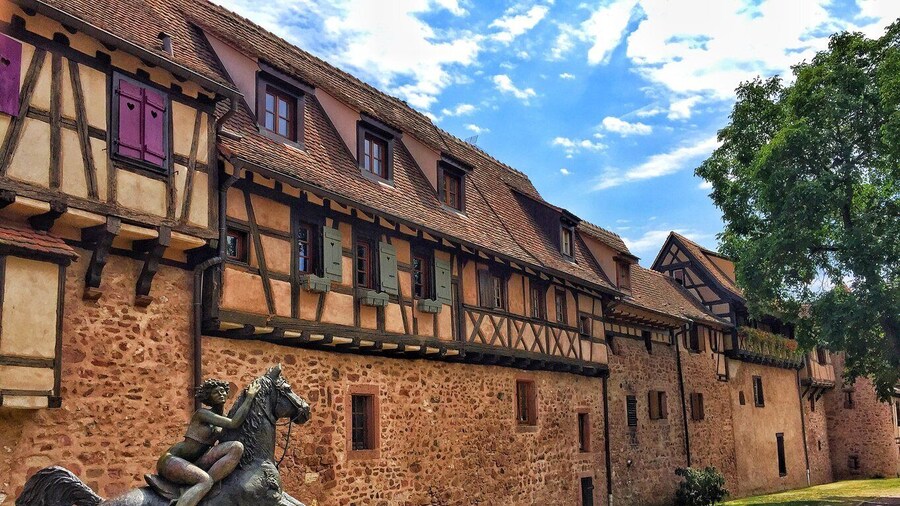 From Colmar: Alsace Medieval and Wine Tasting Day Tour