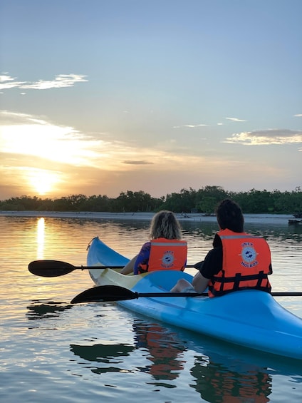 Picture 1 for Activity Kayak tour through Holbox mangroves