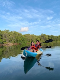 Kayak tour through Holbox mangroves