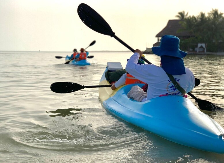 Picture 3 for Activity Kayak tour through Holbox mangroves