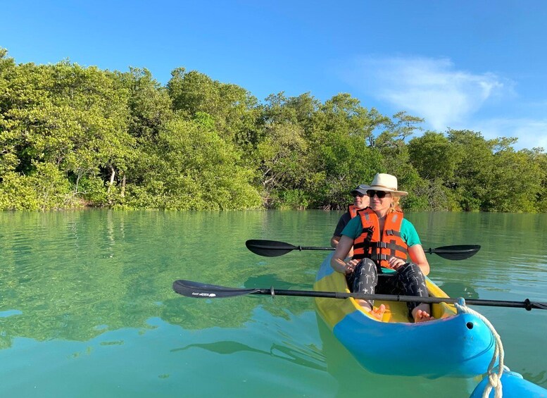 Picture 2 for Activity Kayak tour through Holbox mangroves