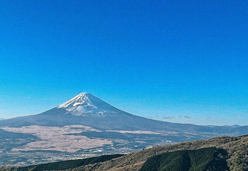 Picture 7 for Activity Tokyo: Onsen, Arts, and Nature Day Trip to Fuji and Hakone