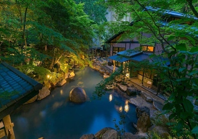 Tokyo: Private Onsen, Arts & Nature Day Trip to Fuji, Hakone