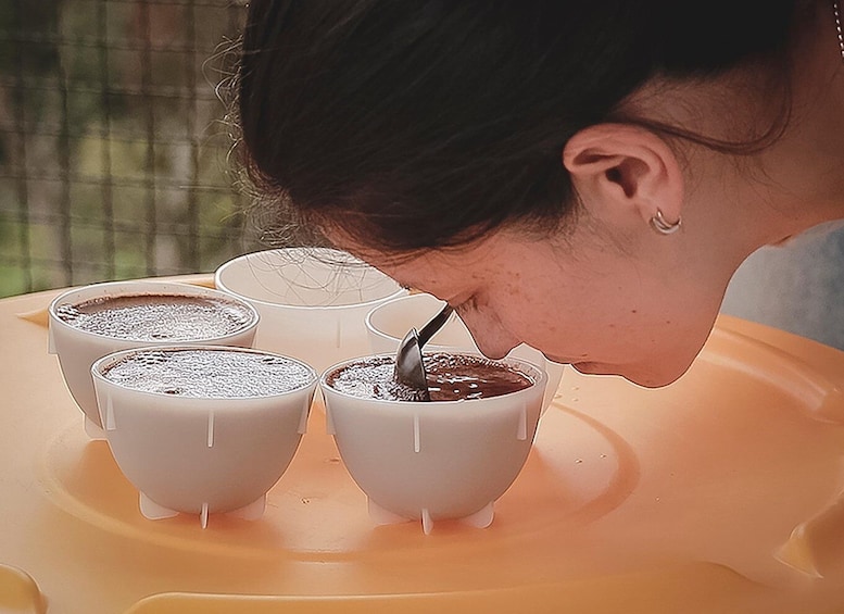 Bogota: Expert curated Colombian Coffee cup tasting workshop