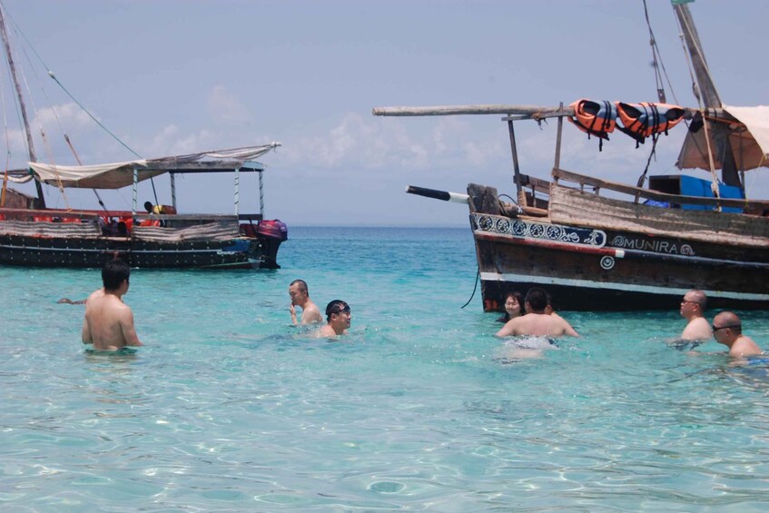 Picture 5 for Activity Wasini Dolphin 🐬 Tour from Diani Beach / Mombasa