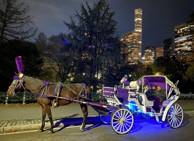 Picture 4 for Activity NYC: Guided Central Park Horse Carriage Ride