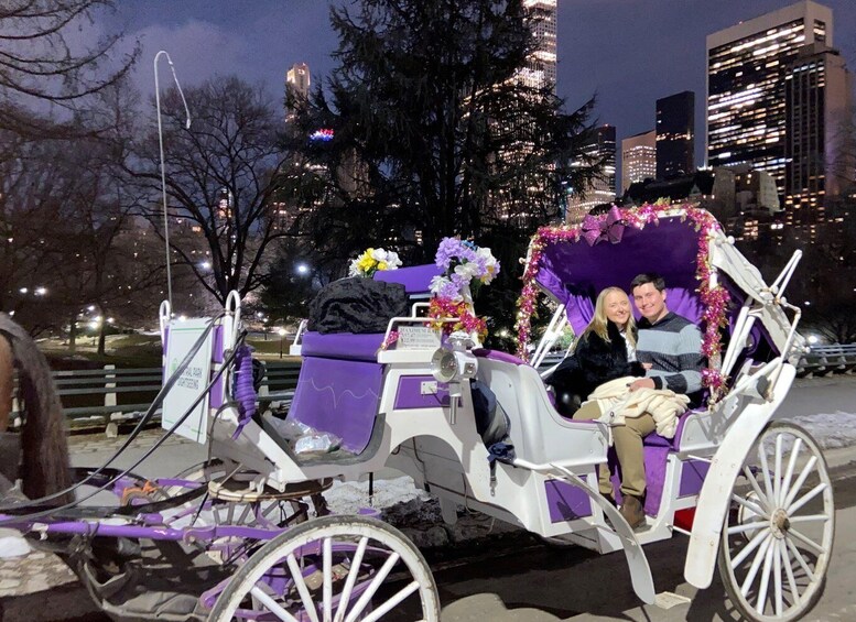 Picture 3 for Activity NYC: Guided Central Park Horse Carriage Ride