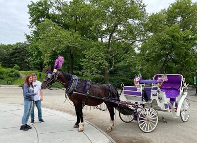 NYC: Guided Central Park Horse Carriage Ride