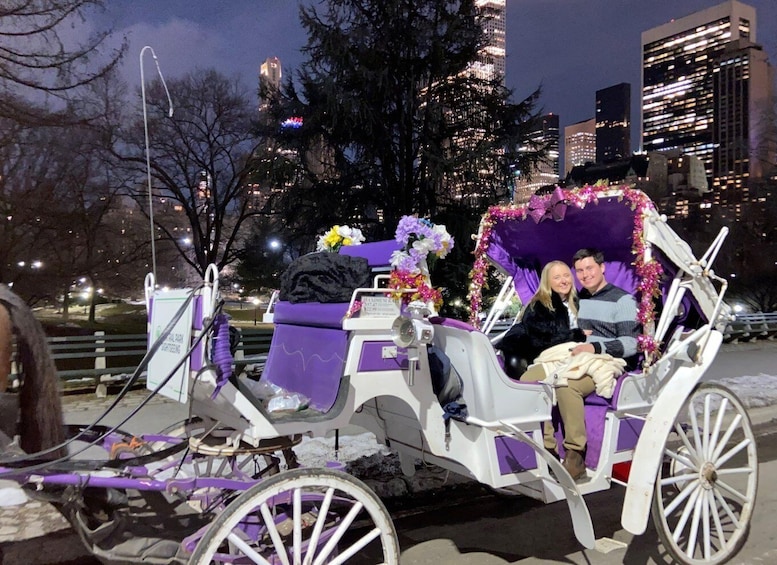 Picture 2 for Activity NYC: Guided Central Park Horse Carriage Ride