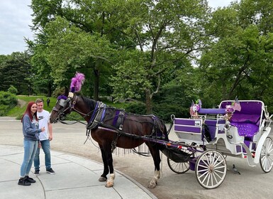 NYC: Guided Central Park Horse Carriage Ride