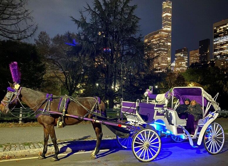 Picture 4 for Activity NYC: Guided Central Park Horse Carriage Ride