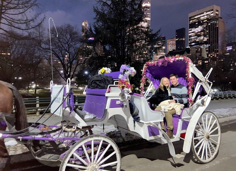 Picture 3 for Activity NYC: Guided Central Park Horse Carriage Ride