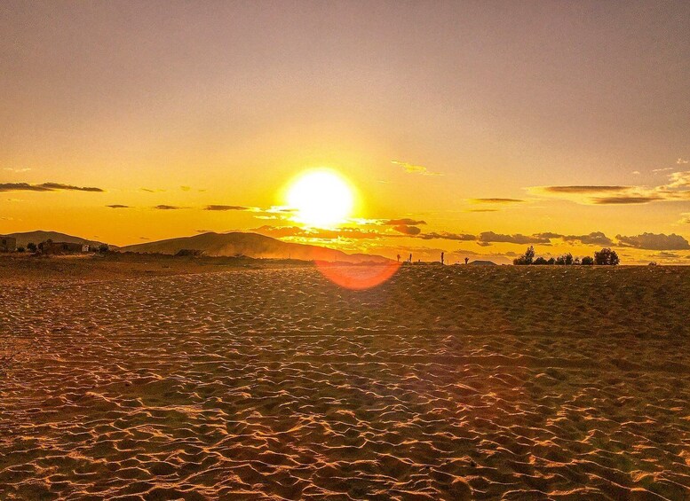 Picture 5 for Activity From Agadir/Tamraght/Taghazout: Sandoarding in Sand Dunes