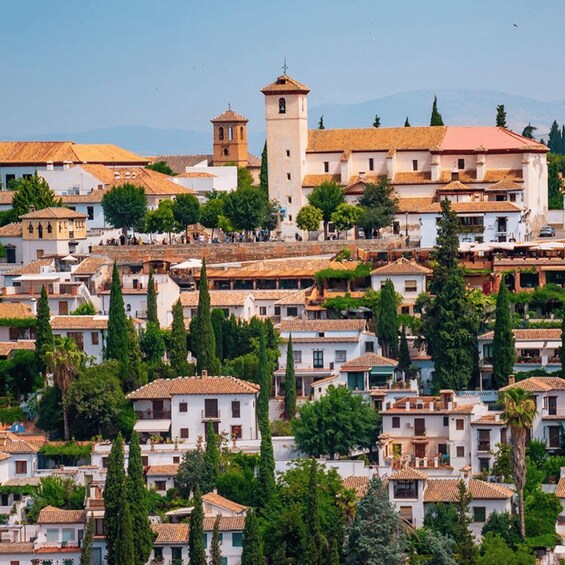 Picture 11 for Activity Granada in full: Albaicin & the Historic Centre