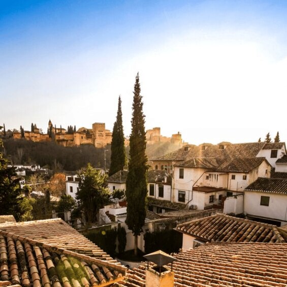 Picture 1 for Activity Granada in full: Albaicin & the Historic Centre