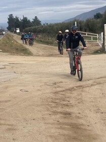 Bike and wine tasting across the Guadalupe Valley