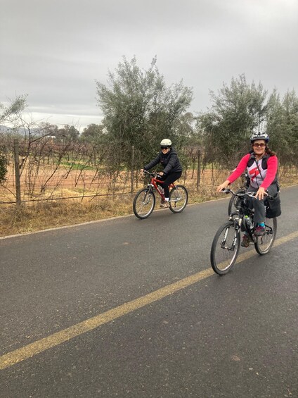 Picture 17 for Activity Bike and wine tasting across the Guadalupe Valley