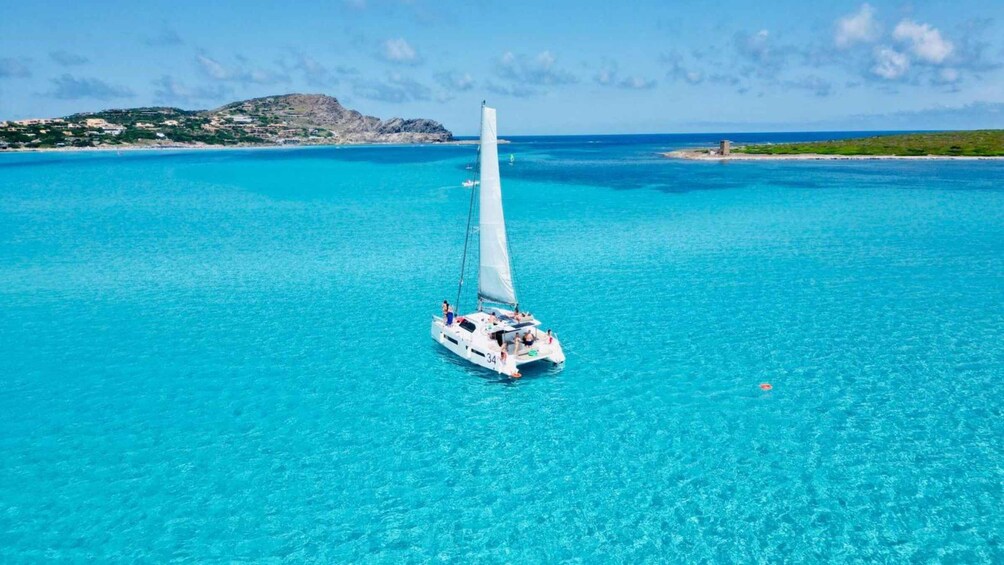 Picture 8 for Activity Stintino: Catamaran excursion in the Gulf of Asinara