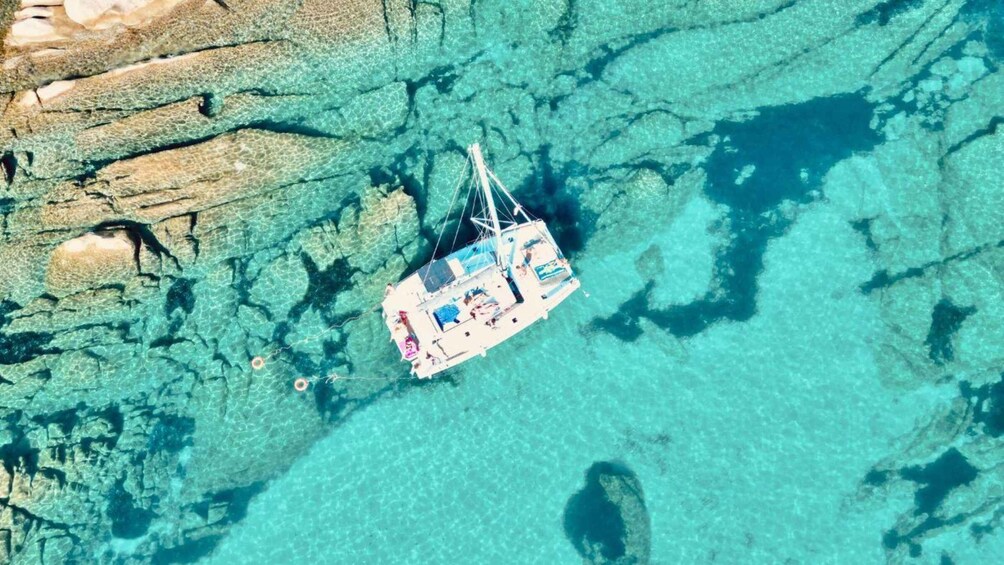 Picture 5 for Activity Stintino: Catamaran excursion in the Gulf of Asinara