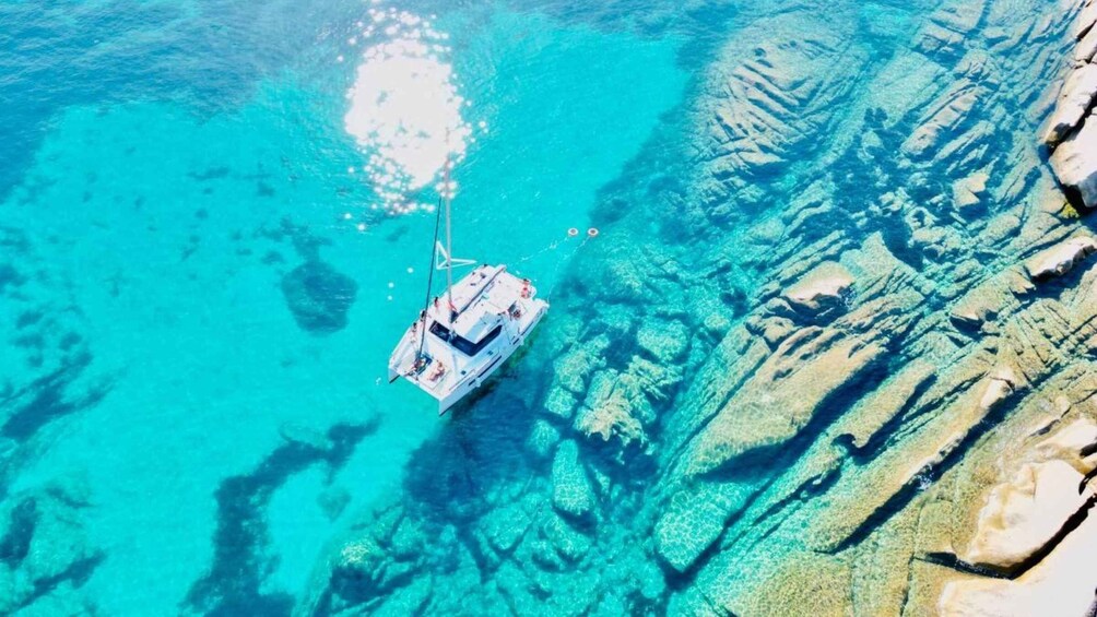 Picture 6 for Activity Stintino: Catamaran excursion in the Gulf of Asinara