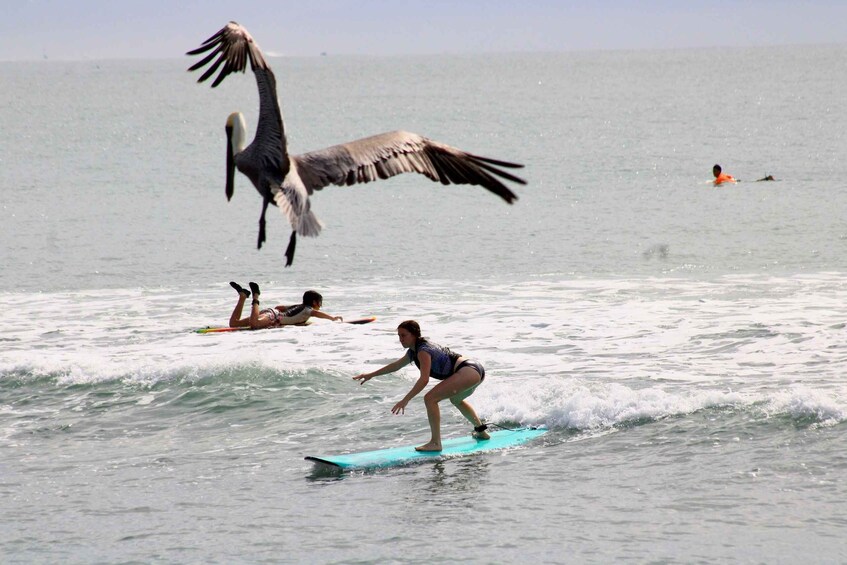 Picture 2 for Activity Sayulita: Surf Lessons for Beginner/Intermediate/ Advance