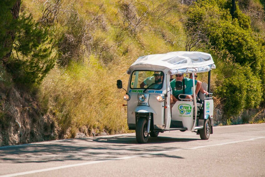 Picture 3 for Activity Split: Private City Highlights Electric Tuk-Tuk Tour