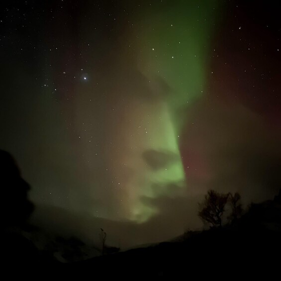 Picture 5 for Activity Harstad/Narvik/Tjeldsund: Northern Lights Sightseeing by Car