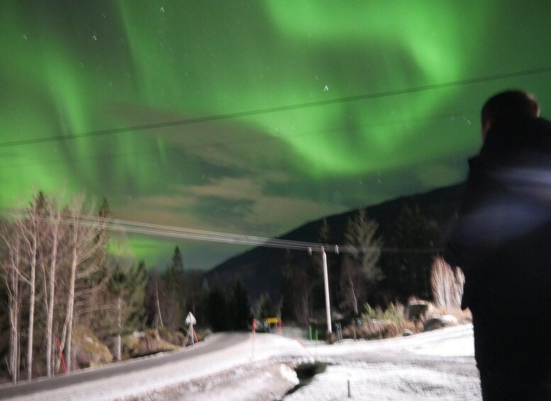 Picture 16 for Activity Harstad/Narvik/Tjeldsund: Northern Lights Sightseeing by Car