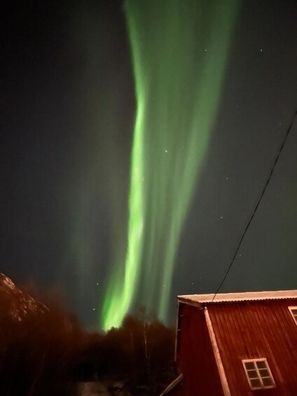 Picture 23 for Activity Harstad/Narvik/Tjeldsund: Northern Lights Sightseeing by Car