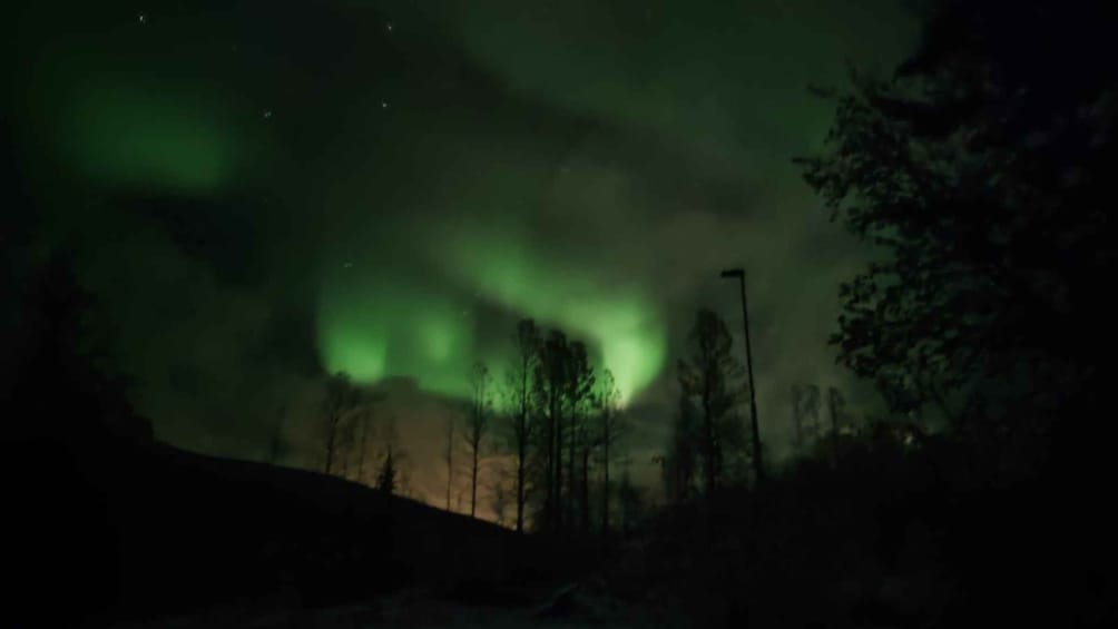 Picture 10 for Activity Harstad/Narvik/Tjeldsund: Northern Lights Sightseeing by Car