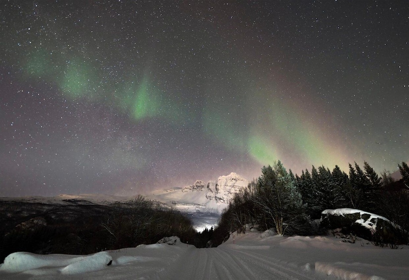 Picture 21 for Activity Harstad/Narvik/Tjeldsund: Northern Lights Sightseeing by Car