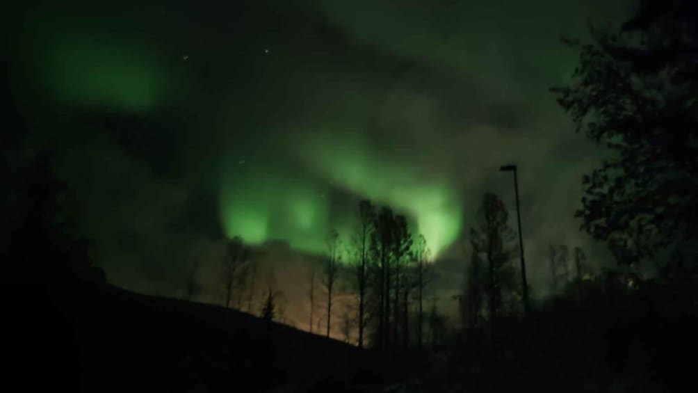 Picture 10 for Activity Harstad/Narvik/Tjeldsund: Northern Lights Sightseeing by Car