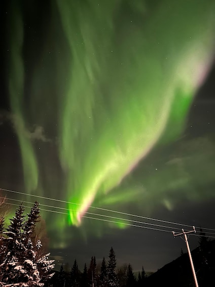 Picture 22 for Activity Harstad/Narvik/Tjeldsund: Northern Lights Sightseeing by Car